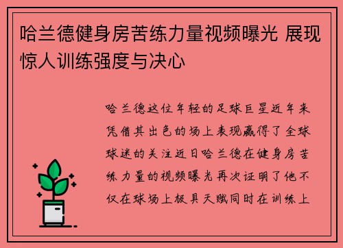 哈兰德健身房苦练力量视频曝光 展现惊人训练强度与决心